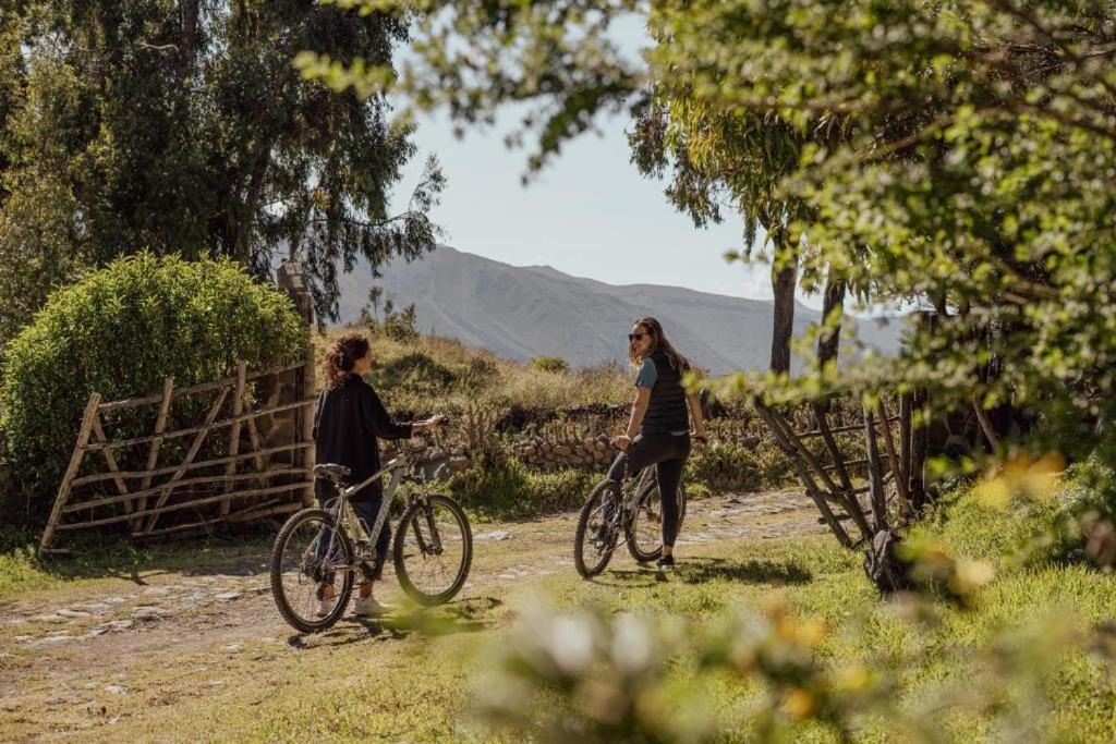 Colca Trek Lodge Best Experience Pinchollo Exterior foto